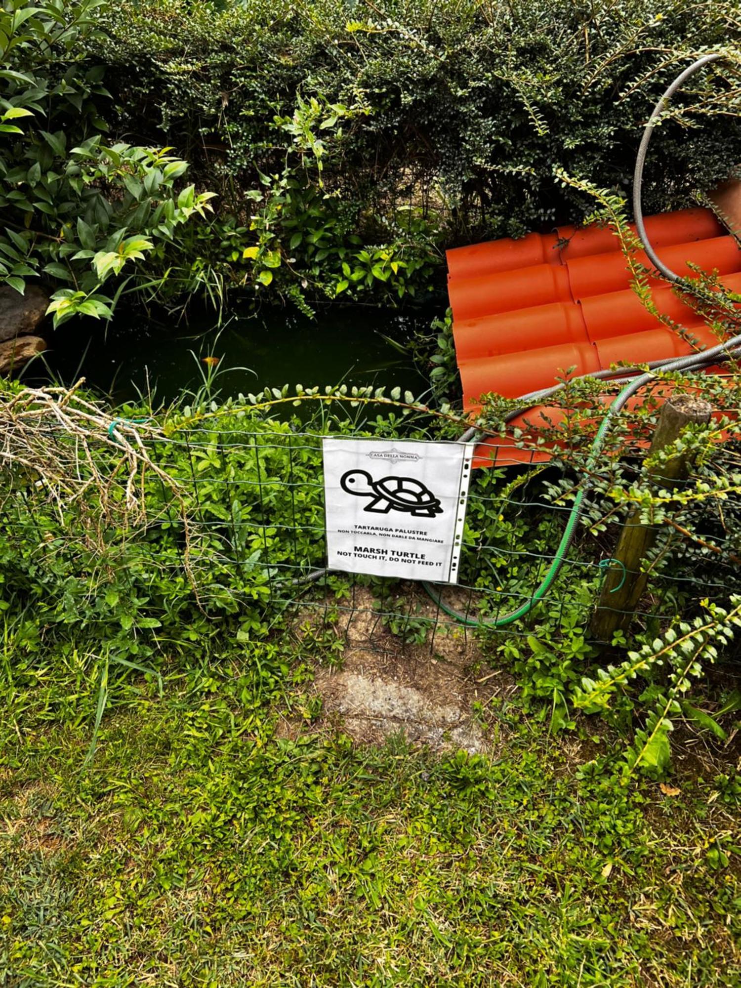 Appartamento Casa Della Nonna Noventa di Piave Exterior foto