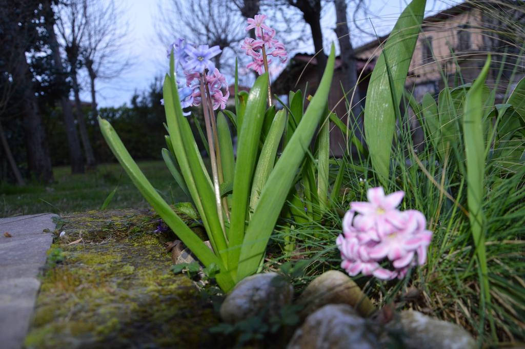 Appartamento Casa Della Nonna Noventa di Piave Exterior foto