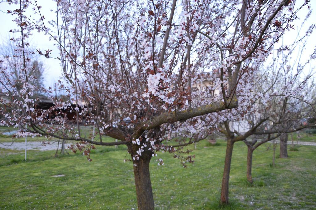Appartamento Casa Della Nonna Noventa di Piave Exterior foto