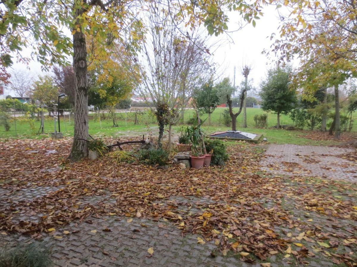 Appartamento Casa Della Nonna Noventa di Piave Exterior foto